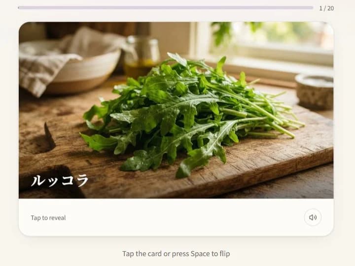 A WordDream flashcard showing ルッコラ (arugula) with its picture